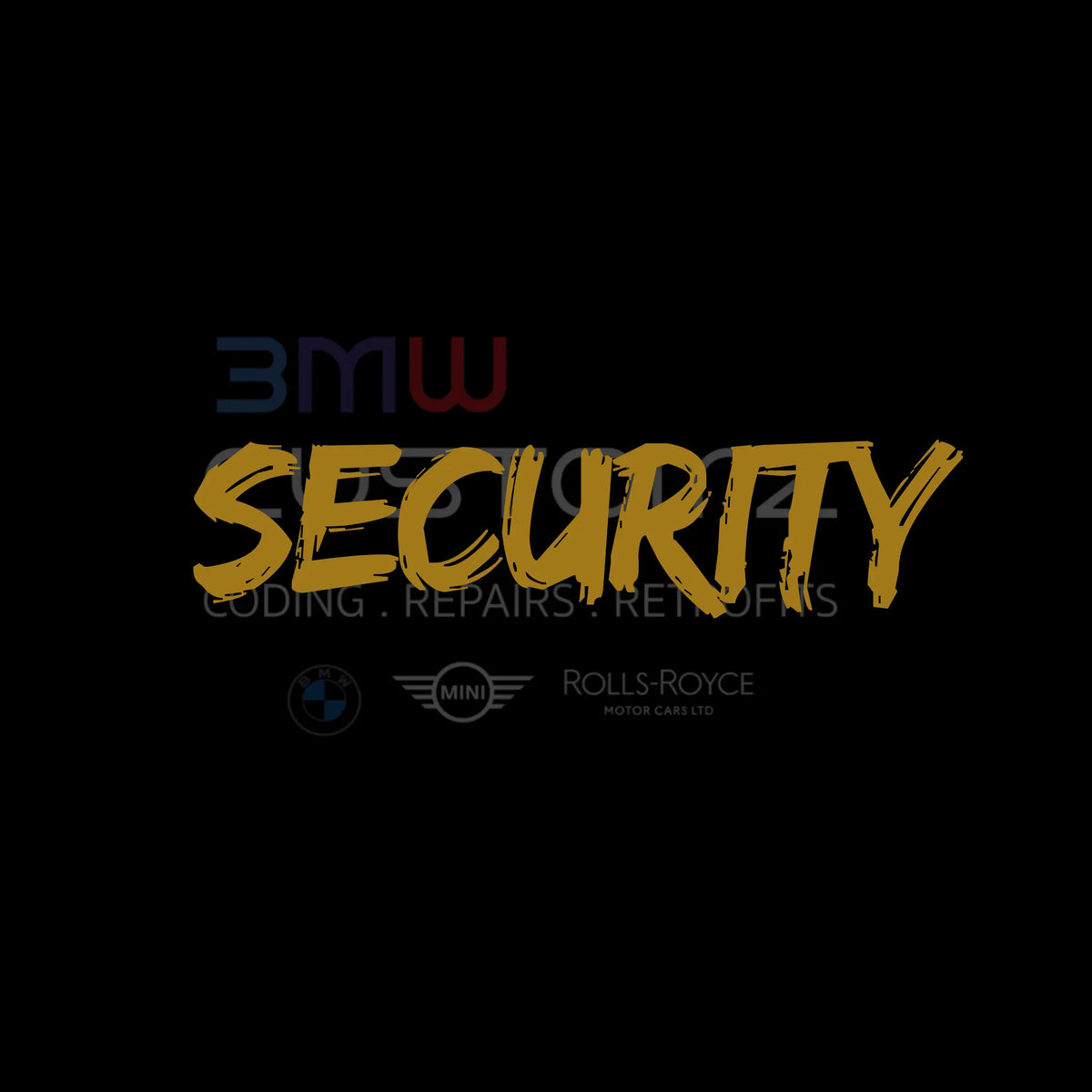 Vehicle Security Get it now - BMW CUSTOMZ – BMW CUSTOMZ